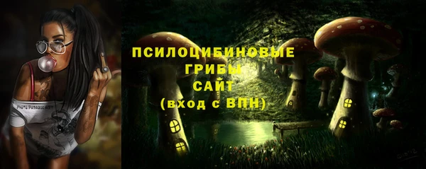 дмт Козловка