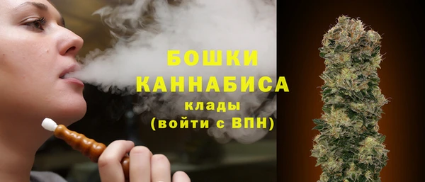 твердый Кодинск