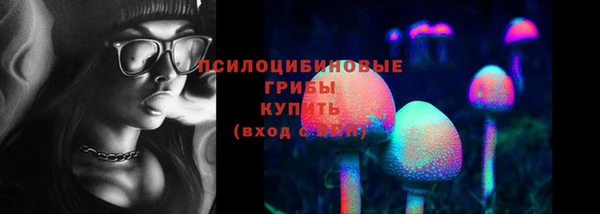 дмт Козловка