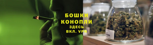 дмт Козловка