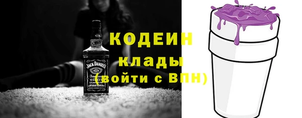 твердый Кодинск