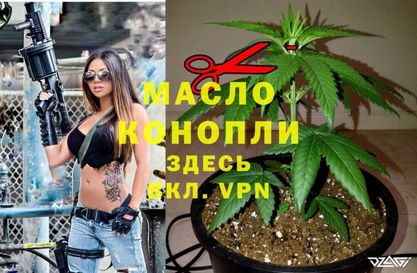 гидра Костерёво