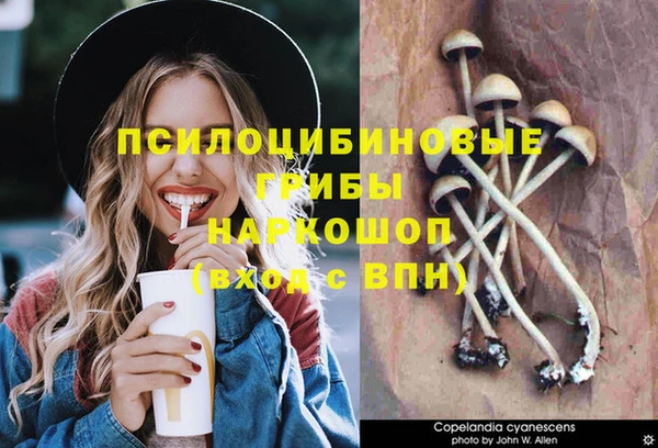 твердый Кодинск