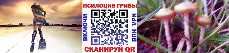 Купить закладки  Гаврилов Посад  Галлюциногенные грибы GOLDEN TEACHER 