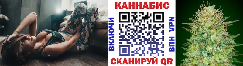 Бошки Шишки план  Купить  Гаврилов Посад 